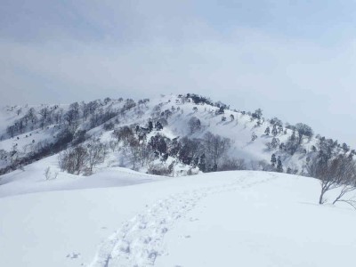 P3090065.jpg (44.42 KiB) 閲覧された回数 2253 回 国境稜線を振り返る