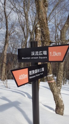 P3082911.jpg (393.39 KiB) 閲覧された回数 3238 回 説明プレートが100mごとに