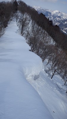 P3082990.jpg (305.3 KiB) 閲覧された回数 3238 回 稜線のミニ雪庇