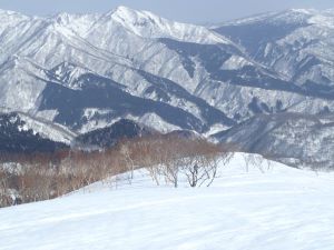 この尾根を下る