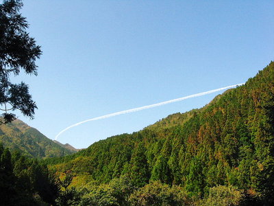 ● 飛行機雲がはっきり浮ぶ、明日は曇りなのかなあ