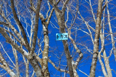 IMG_9991.jpg (711.66 KiB) 閲覧された回数 4702 回 プレート