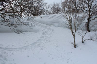 IMG_3164.jpg (753.27 KiB) 閲覧された回数 4705 回 雪庇