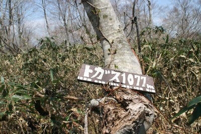 IMG_7316.jpg (375.3 KiB) 閲覧された回数 4703 回 無雪期のトガス山頂