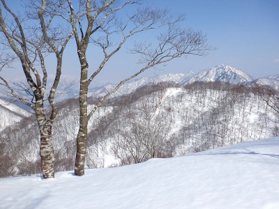 蕎麦粒山（右）と木立の向こうに能郷白山