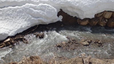 P3173148.jpg (626.53 KiB) 閲覧された回数 2479 回 左俣の渡渉地点