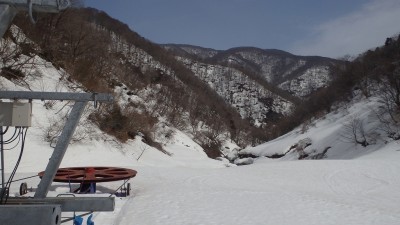 P3173154.jpg (501.96 KiB) 閲覧された回数 2484 回 リフト下部から下谷山方面の稜線