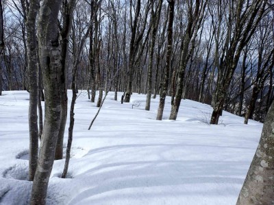 P3240021.jpg (102.26 KiB) 閲覧された回数 3574 回 大黒山山頂
