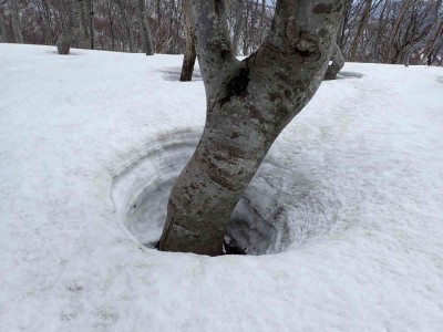 P3240034.jpg (60.13 KiB) 閲覧された回数 3573 回 巨大な穴