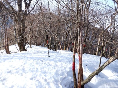 やたら赤ペンキが塗ってある。