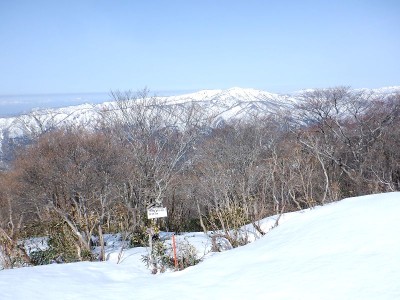 ブンゲン山頂。手前のブッシュが煩わしい。