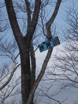 妙理山頂の木にこんなプレートありました？