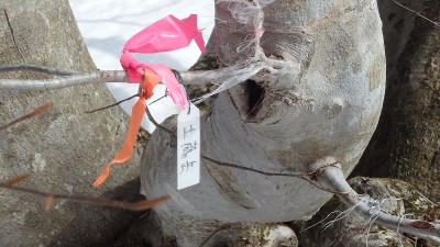 P3253219.jpg (362.72 KiB) 閲覧された回数 3233 回 土蔵岳