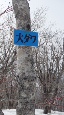 P3253240.jpg (436.15 KiB) 閲覧された回数 3242 回 山頂のkitaプレート