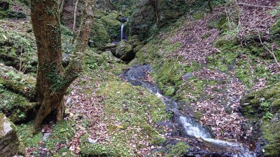 16507825059180 - コピー.jpg