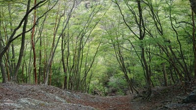 16507855523720 - コピー.jpg