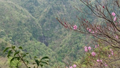 line_530259246384648 - コピー.jpg