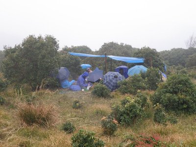 PA300207_800.jpg (164.46 KiB) 閲覧された回数 9667 回 開演10分前、11時20分の様子・・・。<br />「山のホームレスやがな」って、誰?