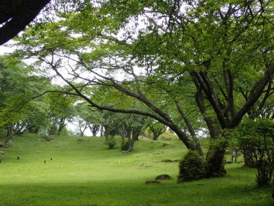 P5060021.jpg (116.34 KiB) 閲覧された回数 3353 回 屏風岩公苑