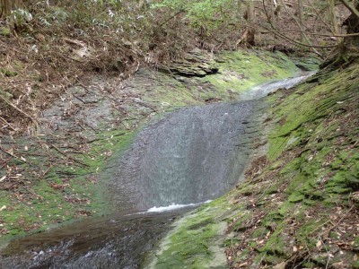 P5060063.jpg (130.27 KiB) 閲覧された回数 3347 回 布引滝上流のナメ