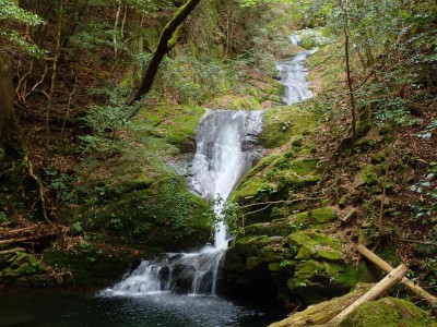P5060070.jpg (123.91 KiB) 閲覧された回数 3348 回 下段 南松の滝,上段 熊ヶ滝