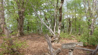 P5063611.JPG (2.87 MiB) 閲覧された回数 5026 回 鎌倉山山頂付近