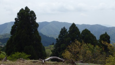 P5063654.JPG (2.37 MiB) 閲覧された回数 5026 回 皆子山