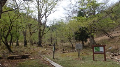 P5063675.JPG (2.66 MiB) 閲覧された回数 5030 回 クラガリ谷分岐