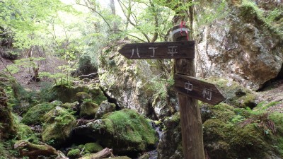 P5063717.JPG (2.75 MiB) 閲覧された回数 5030 回 右俣合流点