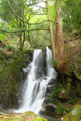 右俣の大滝