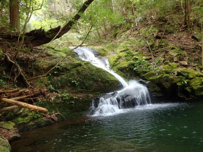 P5200020.jpg (116.73 KiB) 閲覧された回数 2752 回 南松の滝