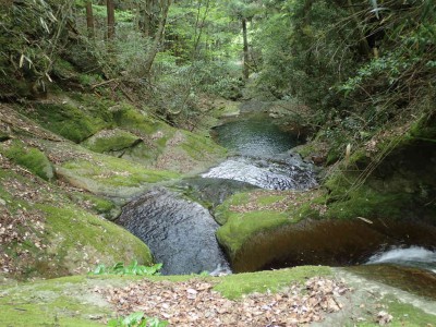 P5200041.jpg (116.19 KiB) 閲覧された回数 2759 回 熊ヶ滝の落ち口から下を見る