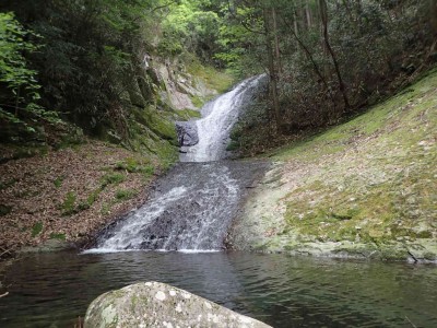 P5200073.jpg (108.2 KiB) 閲覧された回数 2752 回 布引滝