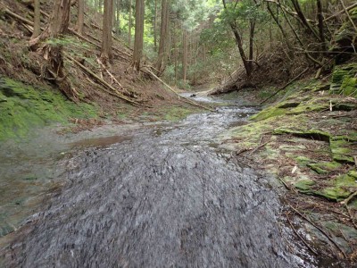 P5200098.jpg (115.93 KiB) 閲覧された回数 2752 回 舗装道路のようなナメ