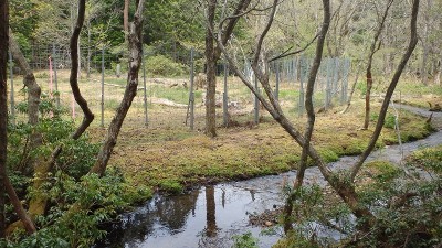 保護フェンスで囲われた湿原中心部