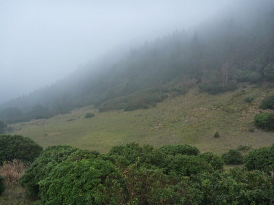 小太郎谷源頭の草原