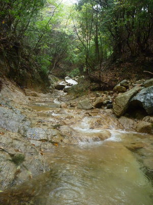 ガンサ谷のナメ