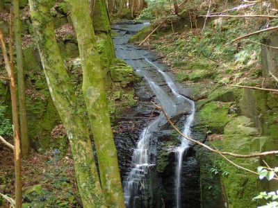 P5250012.jpg (119.97 KiB) 閲覧された回数 1764 回 瀧口不動滝