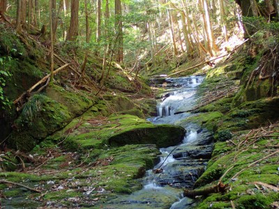 P5250037.jpg (131.79 KiB) 閲覧された回数 1761 回 龍口大滝前のナメ斜滝