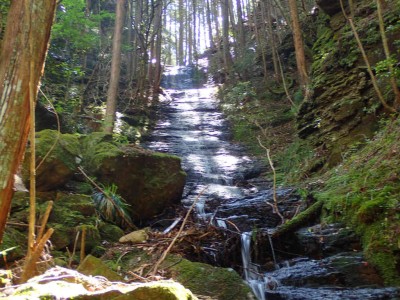 P5250046.jpg (106.2 KiB) 閲覧された回数 1761 回 陀羅滝25m