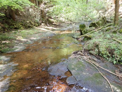 P5250093.jpg (129.61 KiB) 閲覧された回数 1754 回 倶呂滝上流のナメ