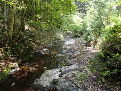 P5250096.jpg (139.38 KiB) 閲覧された回数 1754 回 まだまだ続くナメ