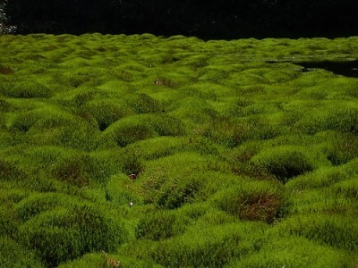 いつまでも眺めていたいような不思議な空間でした