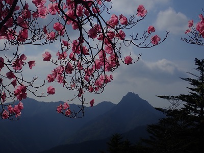 南面から見る先鋭石鎚山