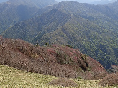 真ん中からチョイ右上の植林帯あたりが笹倉湿原あるところ。登山道から振り返った。