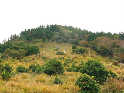 ● 司会のツワモノ、借りてきたネコみたいでした