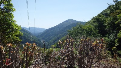 p480から烏帽子岳と時山集落