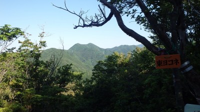 P5293913.jpg (370.92 KiB) 閲覧された回数 1838 回 東ヨコネから三国岳