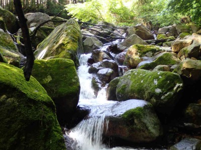 P6010009.jpg (99.36 KiB) 閲覧された回数 1810 回 ゴーロの渓