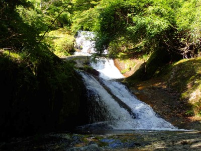 P6010039.jpg (109.1 KiB) 閲覧された回数 1810 回 長走りの滝